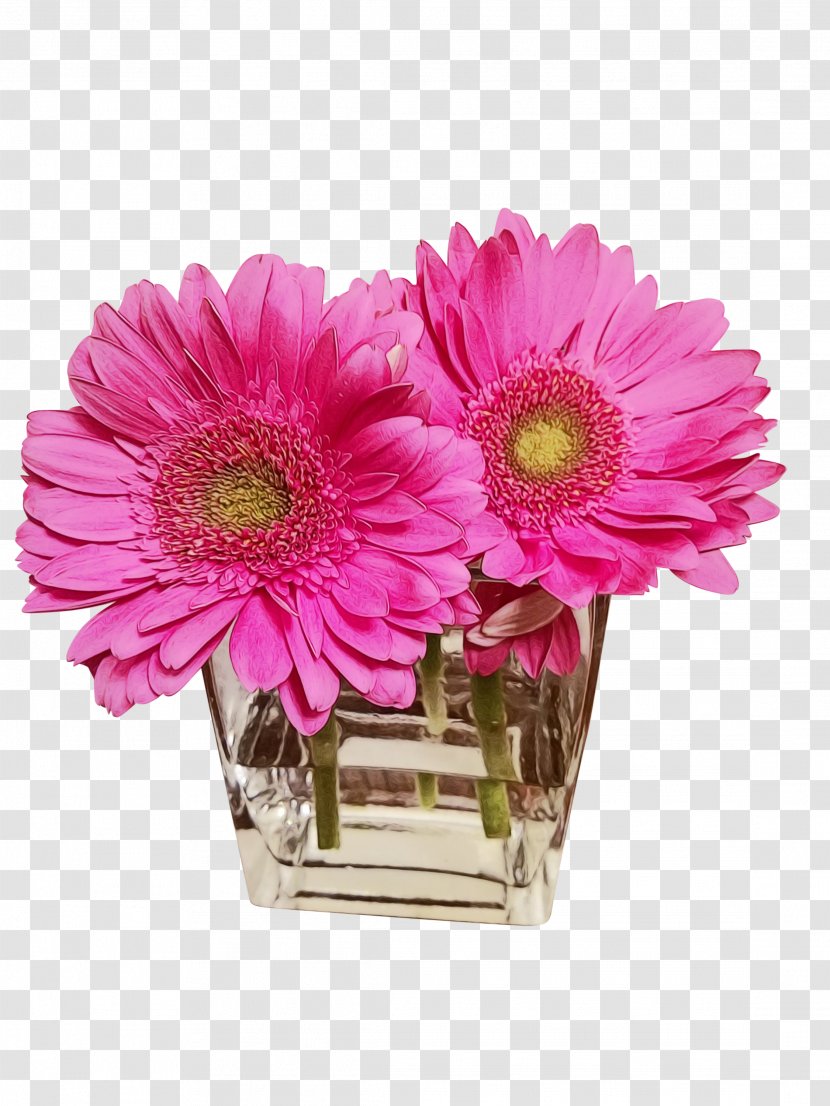 Transvaal Daisy Cut Flowers Floral Design Chrysanthemum - Family - Flowering Plant Transparent PNG