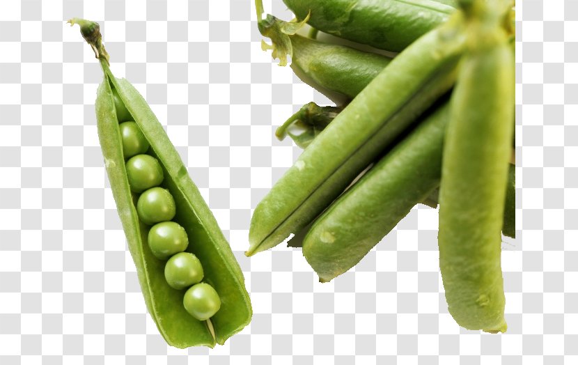 Green Bean Vegetable Food Common - Vegetarian - Pea Transparent PNG