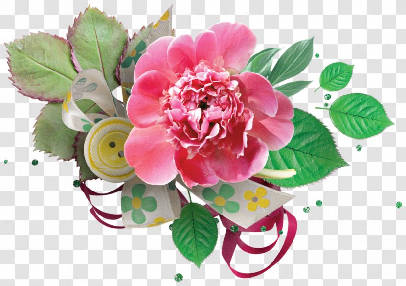 Cabbage Rose Floral Design Petal Cut Flowers - Flower Transparent PNG