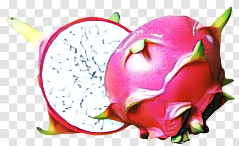 Pink Flower Cartoon - Cuisine - Magenta Cactus Transparent PNG