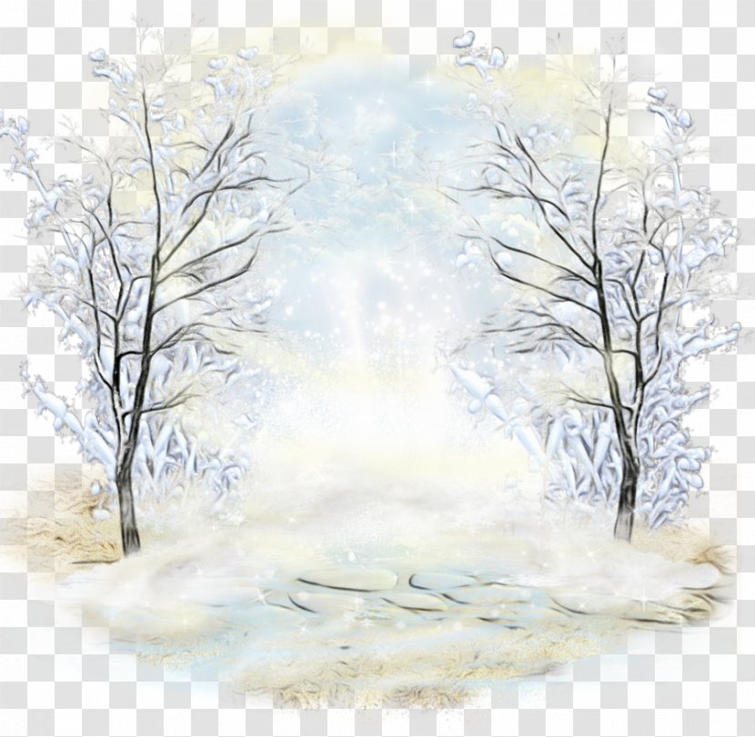 Tree Atmospheric Phenomenon Branch Sky Winter - Forest - Landscape Transparent PNG