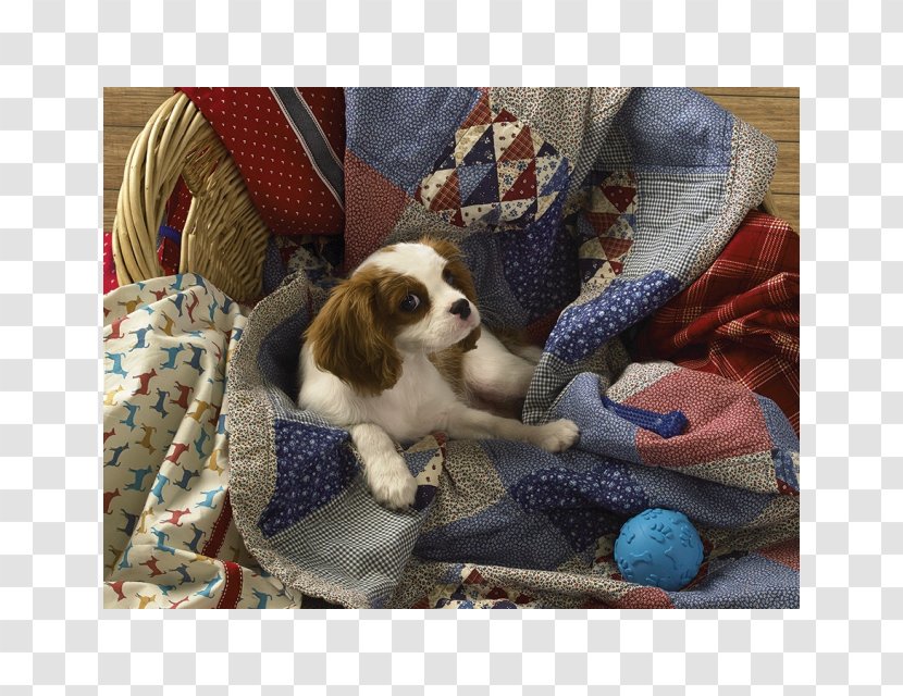 Cavalier King Charles Spaniel Jigsaw Puzzles Puppy Laundry Cocker - Carnivoran Transparent PNG