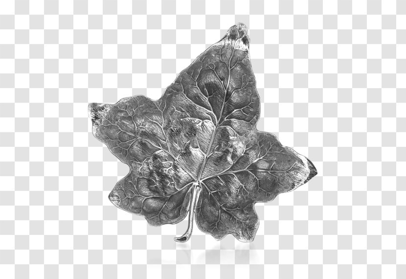 Leaf Buccellati Silver Jewellery Aspen - Force Transparent PNG