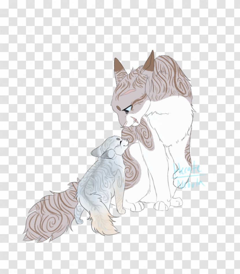 Kitten Whiskers Tabby Cat Drawing - Dog Like Mammal Transparent PNG