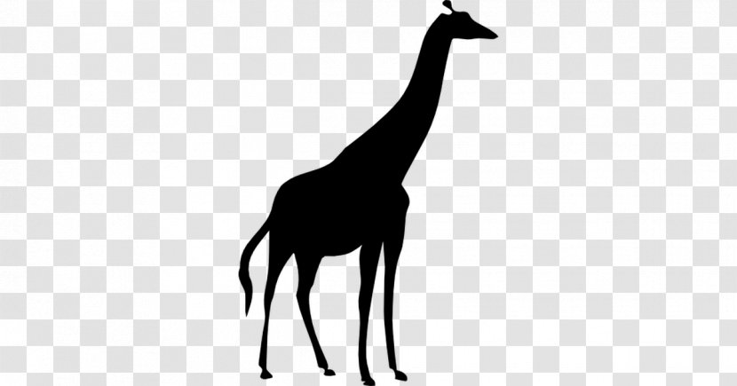 Northern Giraffe Silhouette - Terrestrial Animal Transparent PNG