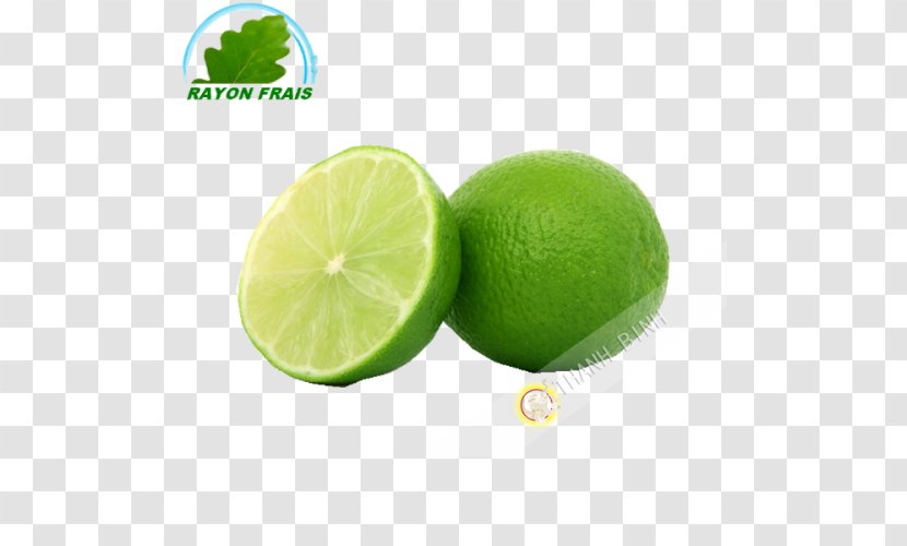 Lemon Key Lime Mojito - Raw Food Transparent PNG