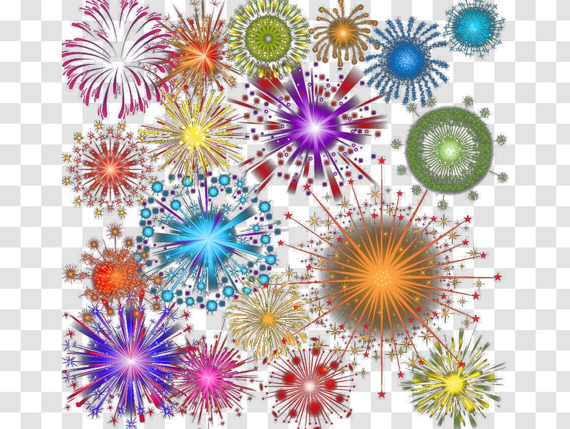 Dahlia Floral Design Pattern - Fireworks Transparent PNG