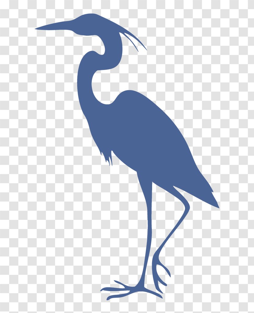 Great Blue Heron Grey Bird Cleaning - Animal - Billboard Background Transparent PNG