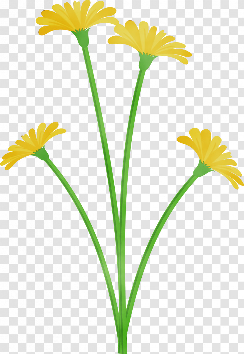 Youtube Plant Stem Transparent PNG