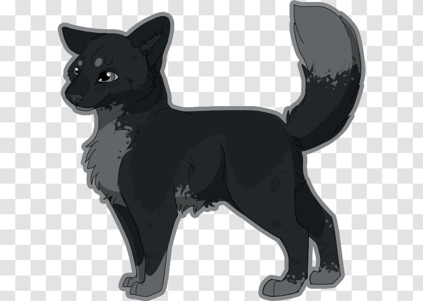 Schipperke Whiskers Cat Dog Breed Transparent PNG