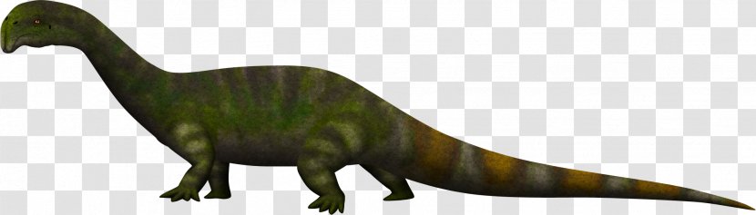 Atopodentatus Tyrannosaurus Art Dinosaur Taxon - Terrestrial Animal - Semiaquatic Transparent PNG