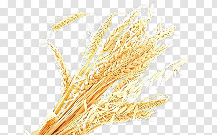 Cartoon Grass - Wheat Flour - Gluten Cuisine Transparent PNG