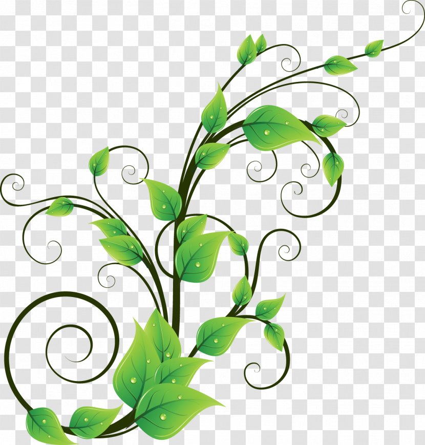 Swirl Pattern - Plant - Cdr Transparent PNG