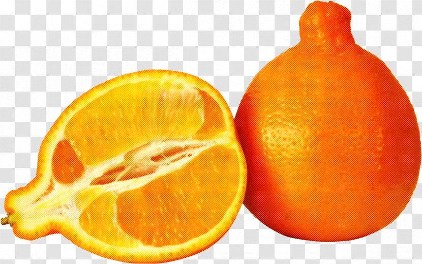 Tangelo Clementine Tangerine Fruit Tangerine Transparent PNG
