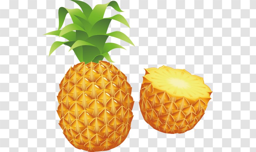 Pineapple Stock Photography Clip Art - Slice - Vector Painted Fruit Transparent PNG