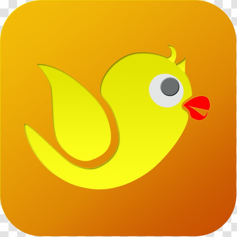 Duck Beak Chicken Meat Clip Art - Water Bird - Parry Transparent PNG