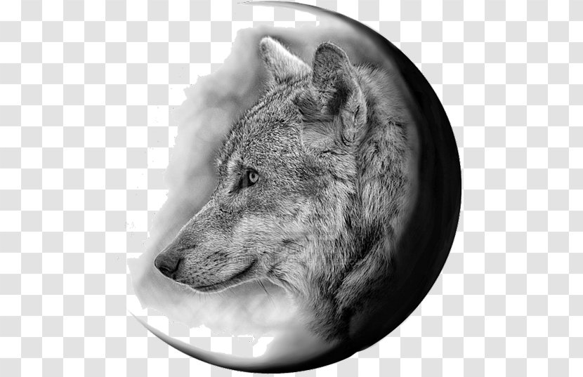 Gray Wolf Coyote Tattoo Flash Jackal - Monochrome Transparent PNG