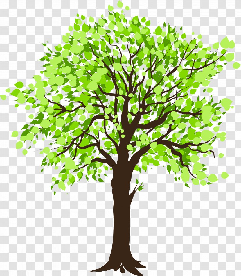 Tree Stock Photography Clip Art - Drawing Transparent PNG
