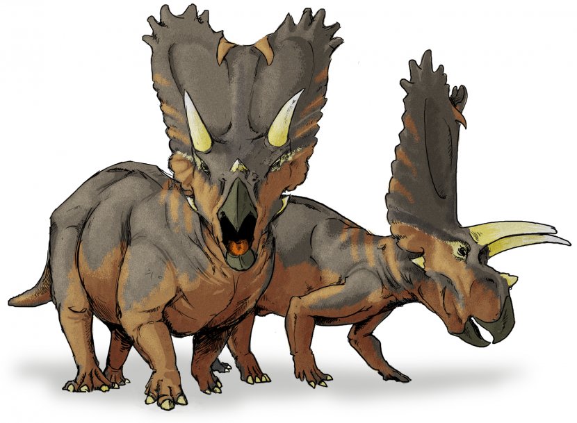 Pentaceratops Ceratopsia Chasmosaurus Titanoceratops Late Cretaceous - Cerapoda - Dinosaur Transparent PNG