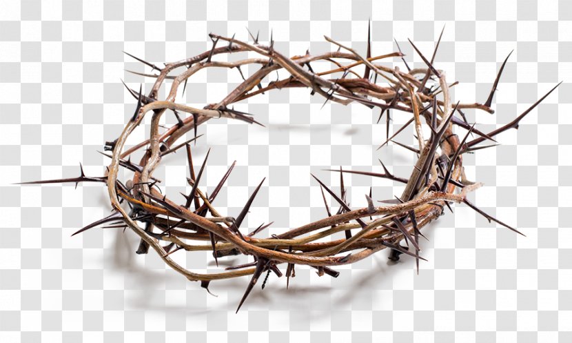 Stock Photography Crown Of Thorns Royalty-free - Royaltyfree - Bigstock Transparent PNG