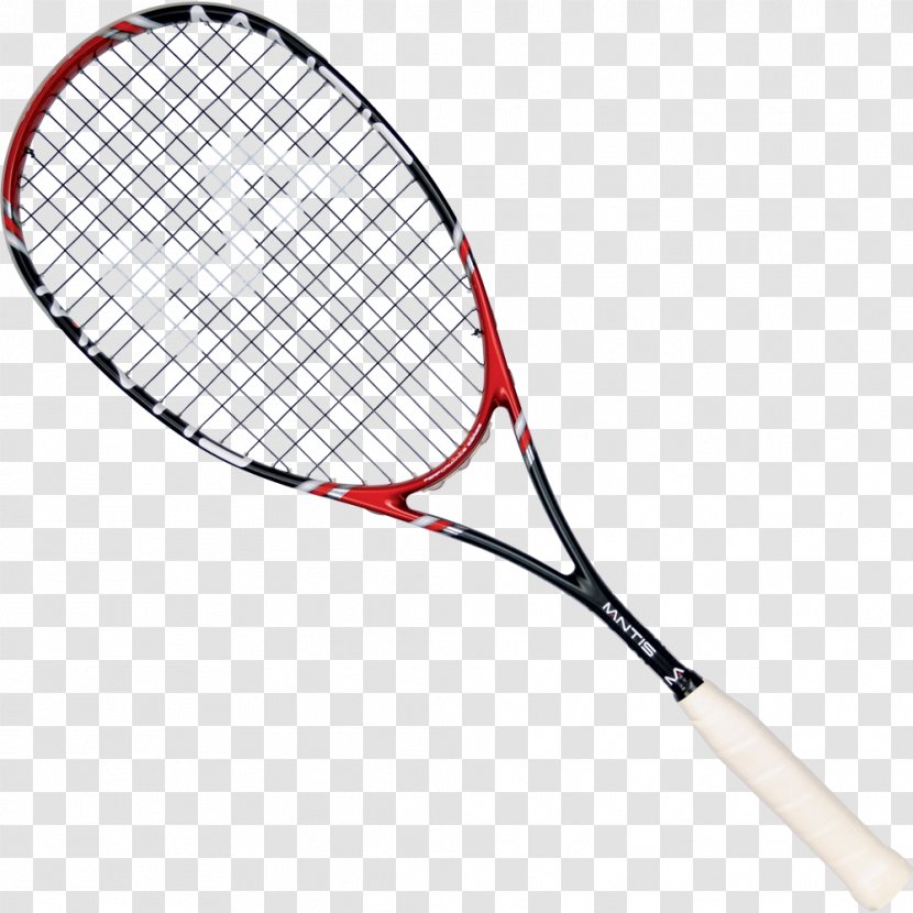 Racket Squash Head Babolat Racquetball - Sport Transparent PNG