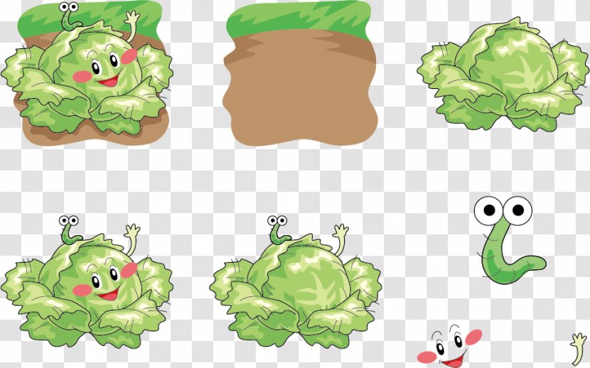 Cabbage Vegetable Cartoon Illustration - Chinese - Insect Expression Vector And Transparent PNG