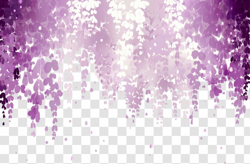 Wisteria Floribunda Flower Pink Purple Wallpaper - Dream Picture Material Transparent PNG