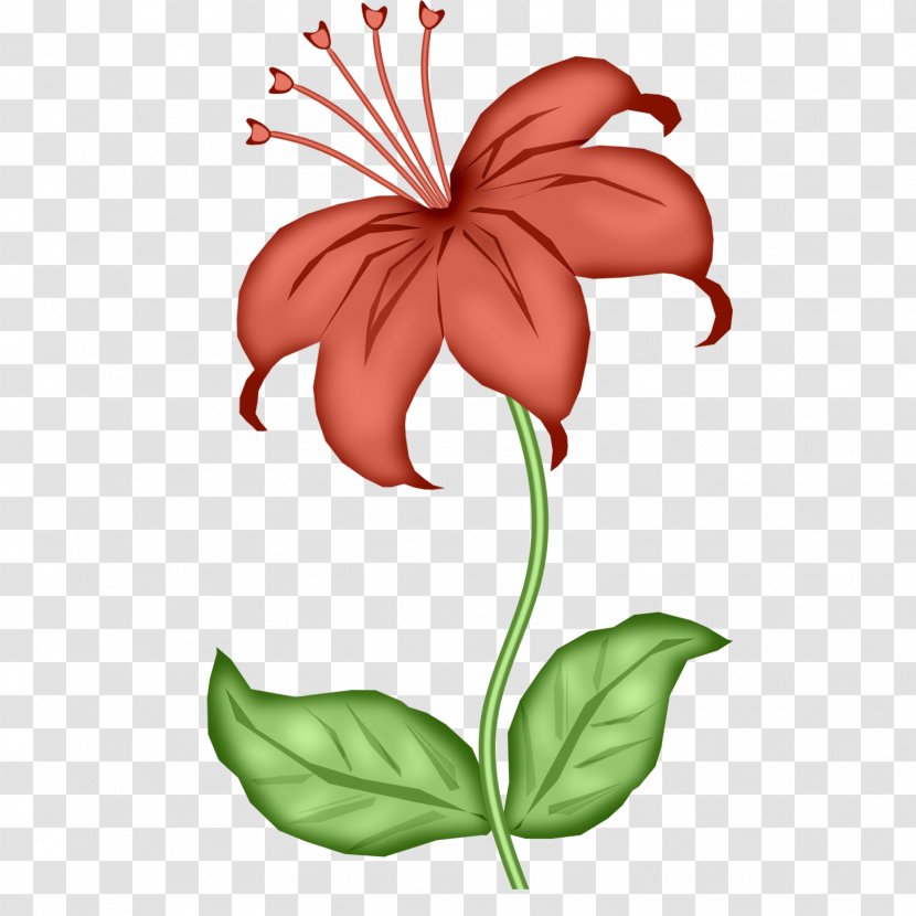 Graffiti Drawing Flower - Plant Stem Transparent PNG