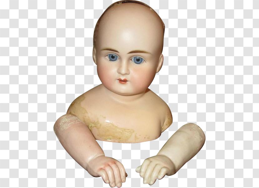 Thumb Mannequin Toddler Infant Jaw - Hand - Finger Transparent PNG