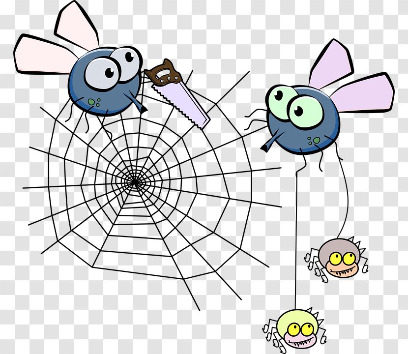 Spider Web Clip Art - Symmetry Transparent PNG