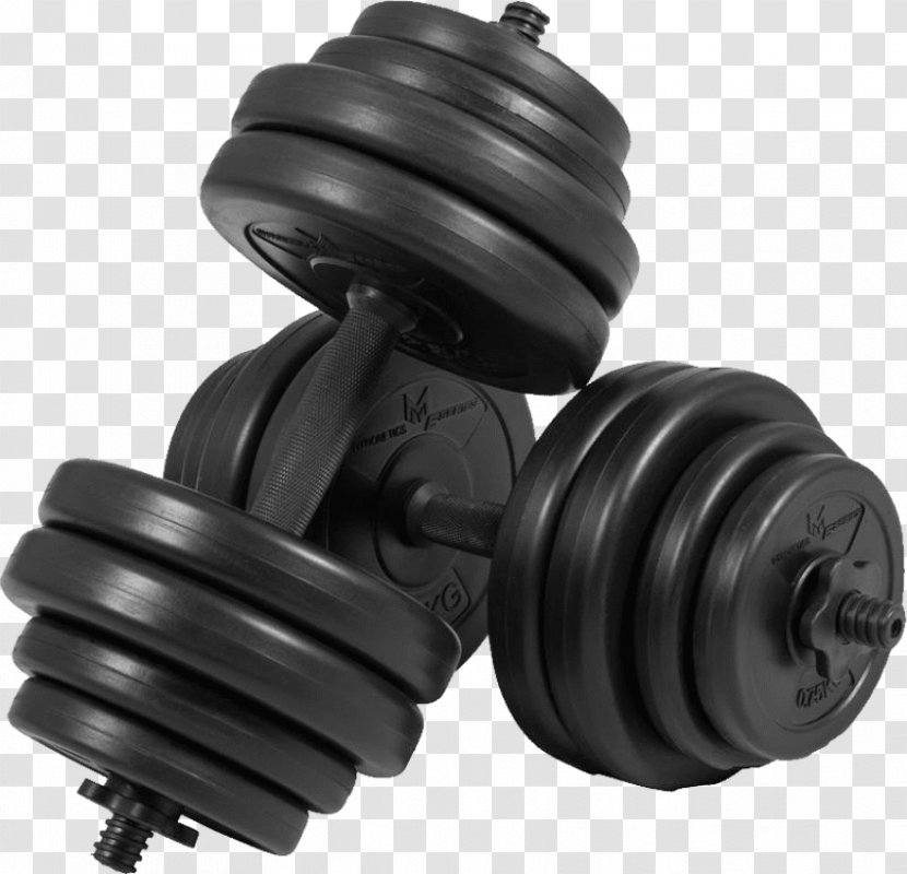 Weight Training Dumbbell Physical Fitness Centre Bench Transparent PNG