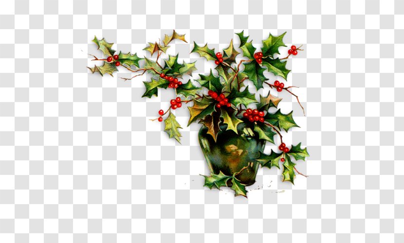 Common Holly Christmas Ornament Clip Art - Wreath Transparent PNG