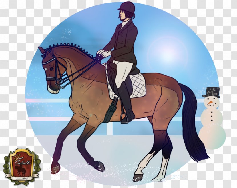 Hunt Seat Stallion Bridle Mustang Mare - Rein Transparent PNG