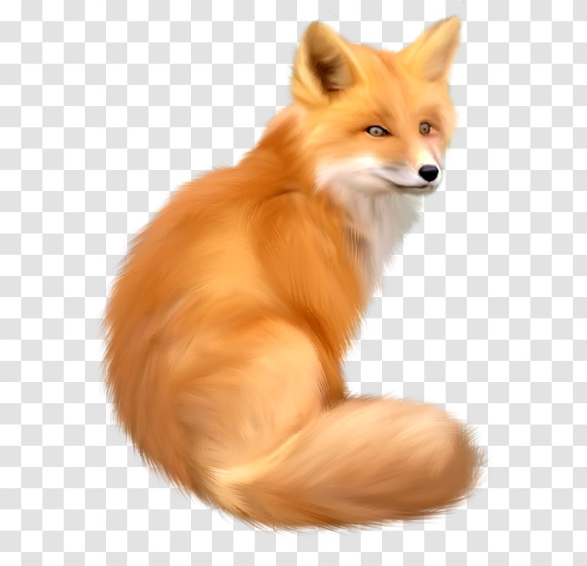 Red Fox Clip Art - Dog Breed Transparent PNG