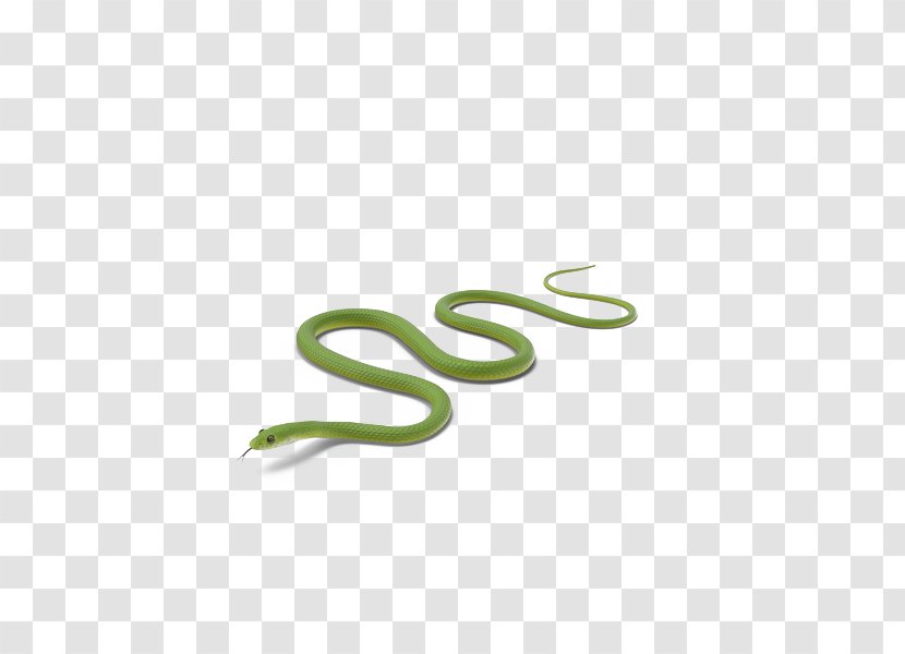 Snake Green - Logo - Crawling Transparent PNG