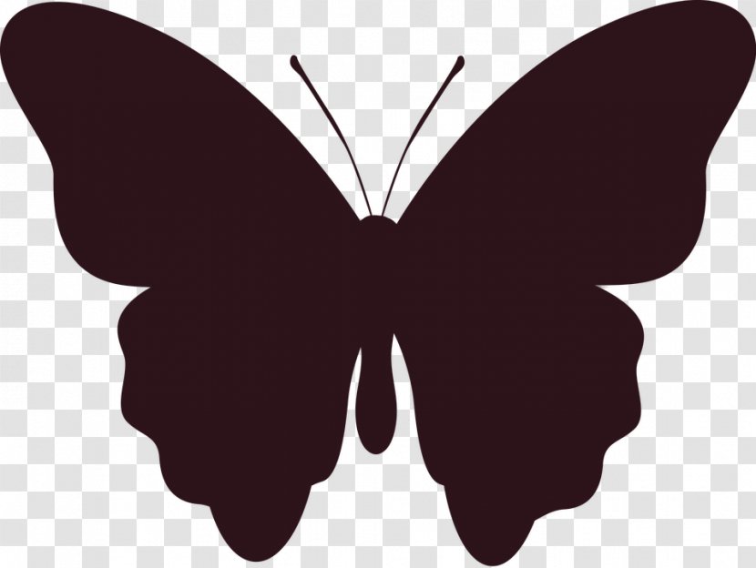 Butterfly Insect Silhouette Image Clip Art Transparent PNG