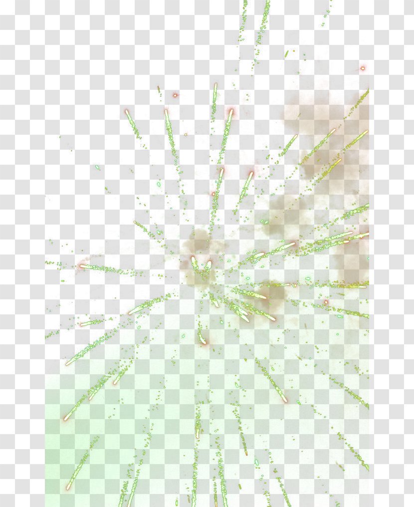 Twig Green Pattern - Grass - Fireworks Transparent PNG
