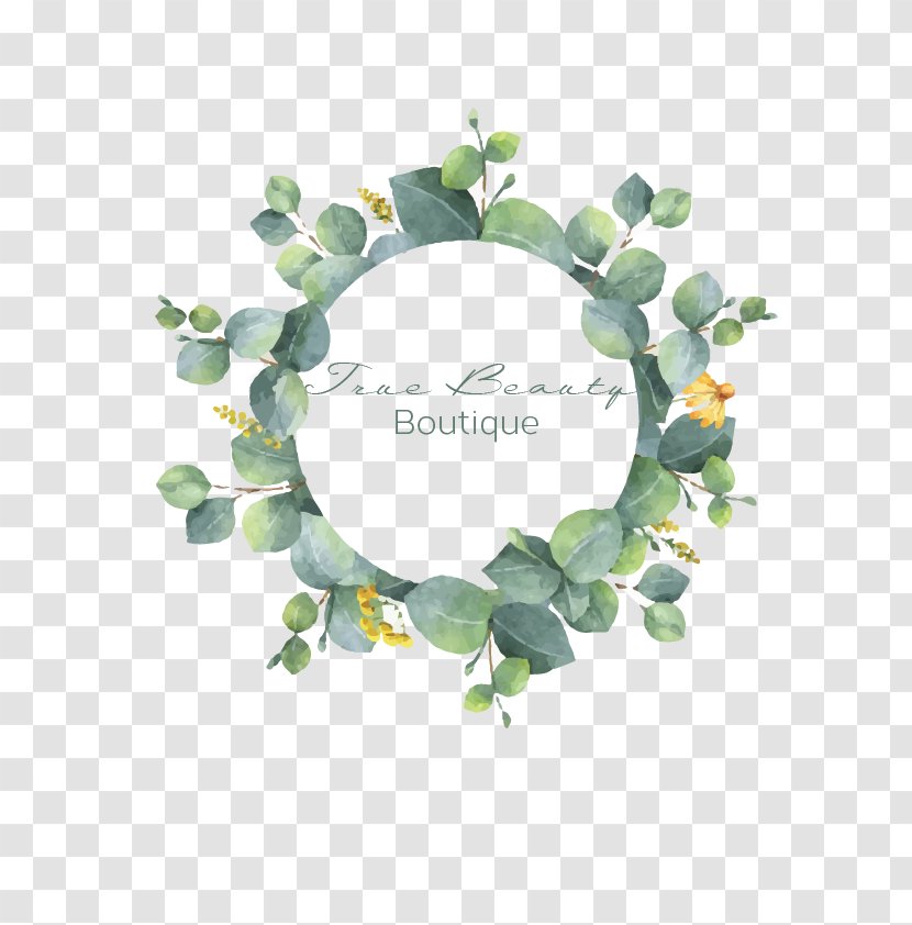 Vector Graphics Watercolor Painting Illustration Royalty-free Stock Photography - Istock - Eucalyptus Silver Dollar Transparent PNG