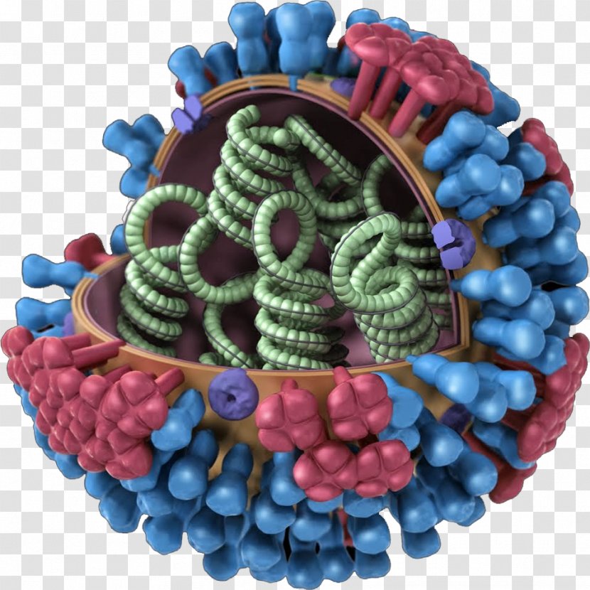 Influenza Vaccine A Virus Subtype H3N2 Flu Season - Pandemic Transparent PNG