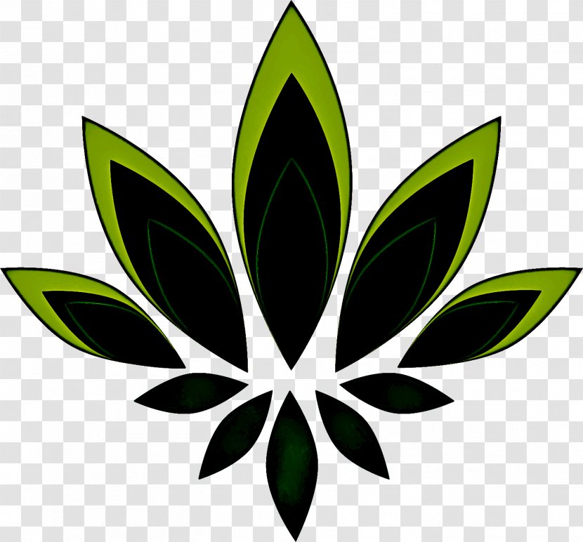 Leaf Green Plant Flower Clip Art - Logo Transparent PNG