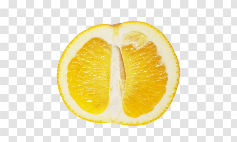 Lemon Tangelo Rangpur Grapefruit Citrus Junos - Yuzu Transparent PNG