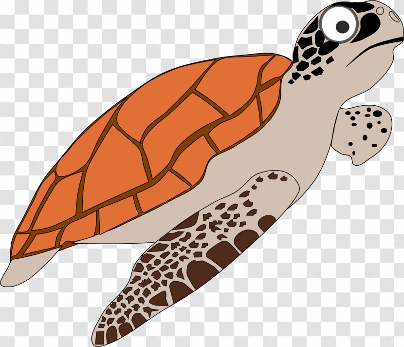 Sea Turtle Cartoon Clip Art - Tortoide Transparent PNG