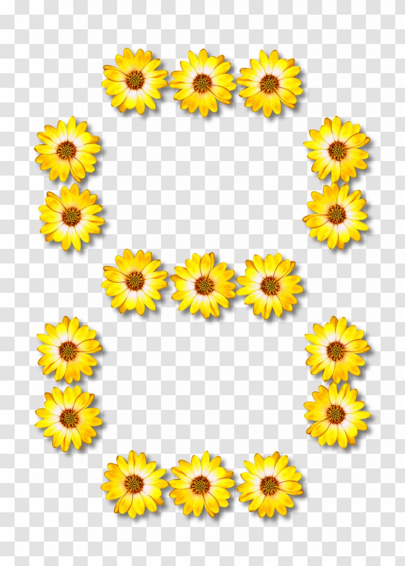 Common Sunflower Clip Art Floral Ornament CD-ROM And Book Design - Petal - Flower Transparent PNG