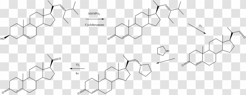 Stigmasterol Progesterone Chemical Synthesis Paper 0 - Watercolor - Silhouette Transparent PNG