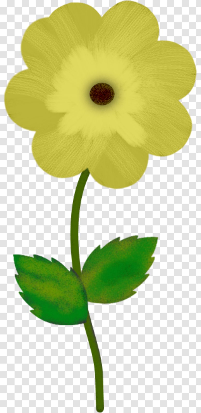 Flower Petal Blume Transparent PNG