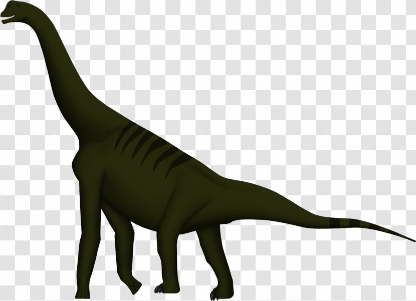 Atlasaurus Tyrannosaurus Brachiosaurus Cedarosaurus Allosaurus - Dinosaur Transparent PNG