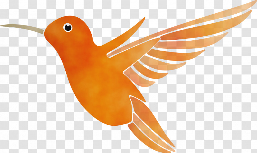 Hummingbird Transparent PNG