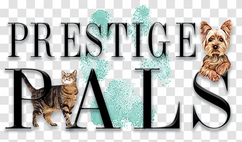 Cat Logo Pet Brand Font - Vertebrate Transparent PNG