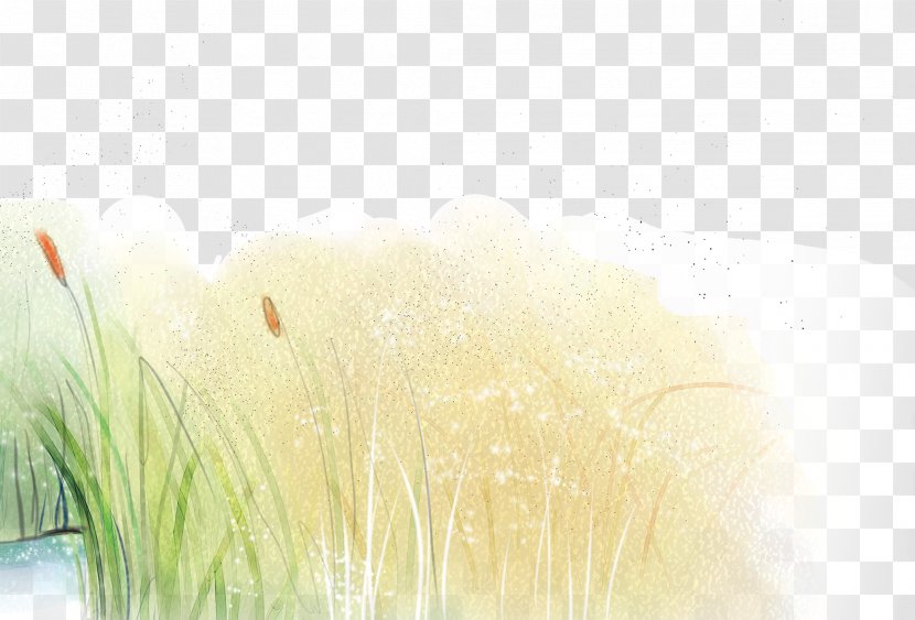 Cartoon Animation Decorative Arts Download - Material - Grass, Meadow, Taobao Decoration Materials Transparent PNG