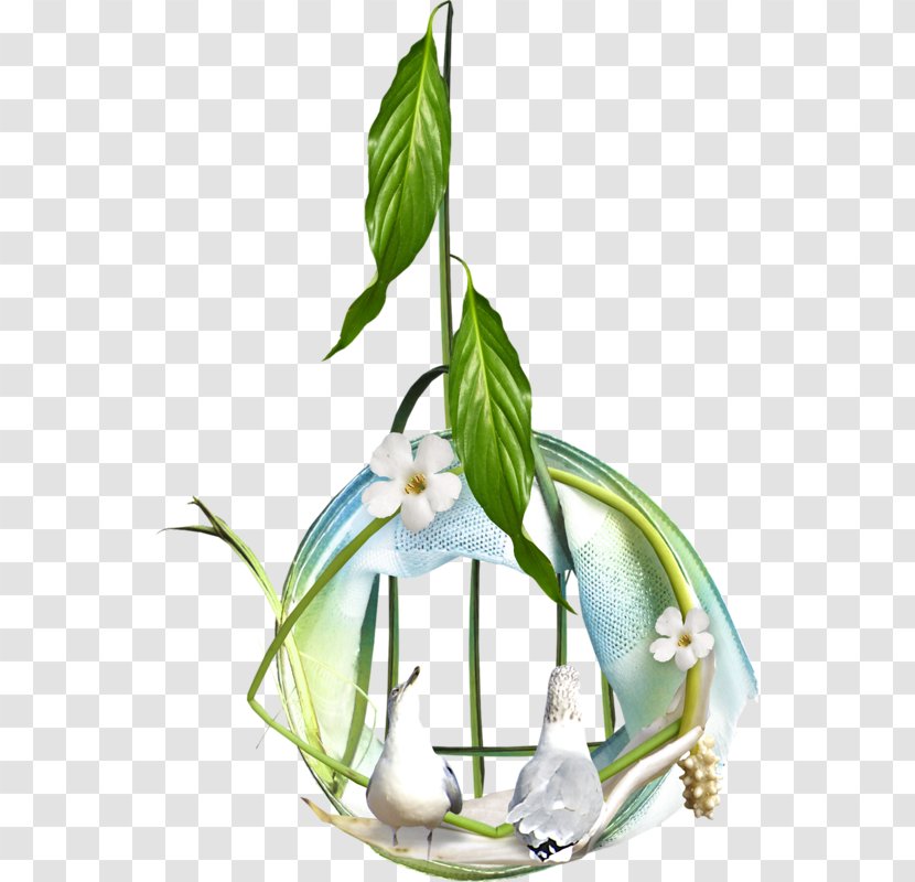 Bird Image Cage Floral Design - Fairy - Embrasse Moi Vite Transparent PNG